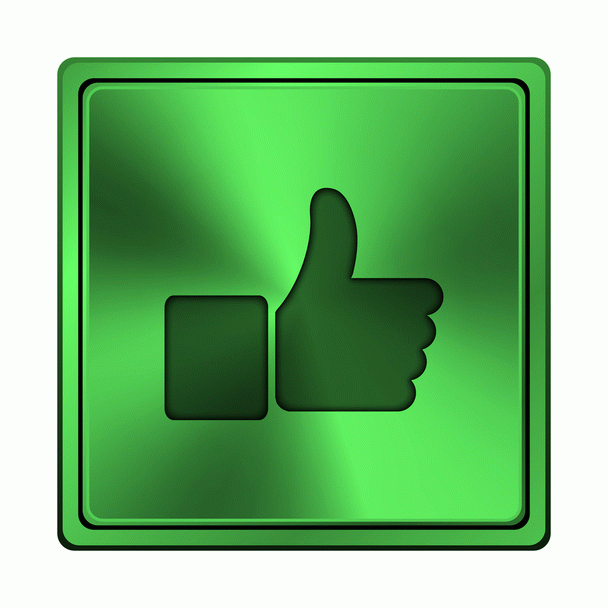 17 نکته مهم در مورد بیمه حیوانات خانگی (سگ، گربه، پرندگان زینتی)