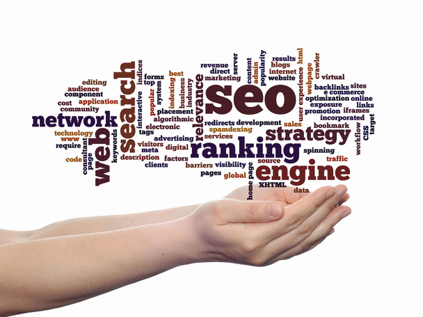 سئو سایت یا بهینه سازی وب سایت برای موتور های جستجو