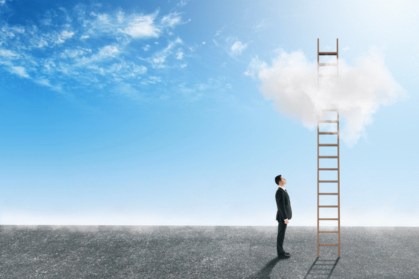 18 نکته حیاتی برای تغذیه عروس هلندی در زمستان و نحوه تغییر رژیم غذایی